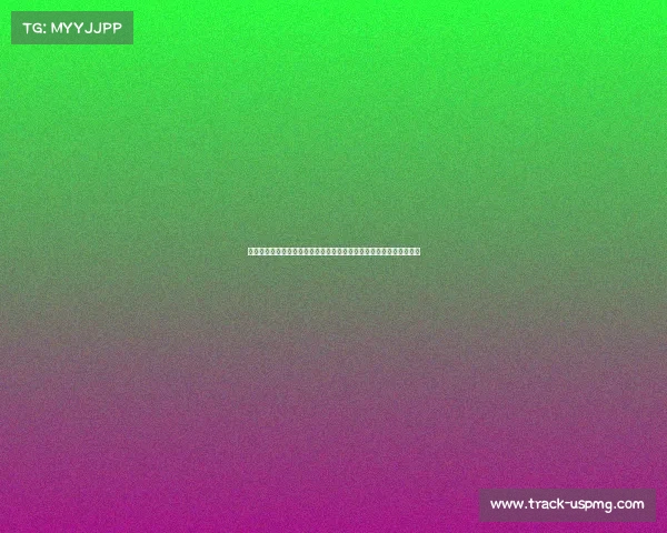 上海申花足协杯赛事激情上演球队拼搏展现强大实力每一战都充满斗志