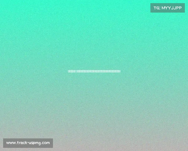 体育赛事人 竞技场上的无名英雄体育赛事人默默奉献与闪耀时刻的真实故事