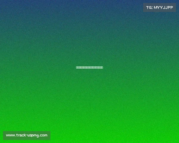 射击王者巅峰对决全国锦标大赛激情开战