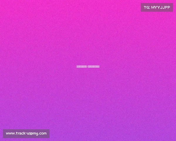 拳皇最高级赛事-拳皇最高级别比赛