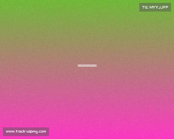 标准龙赛事挥桨激浪竞逐桂冠