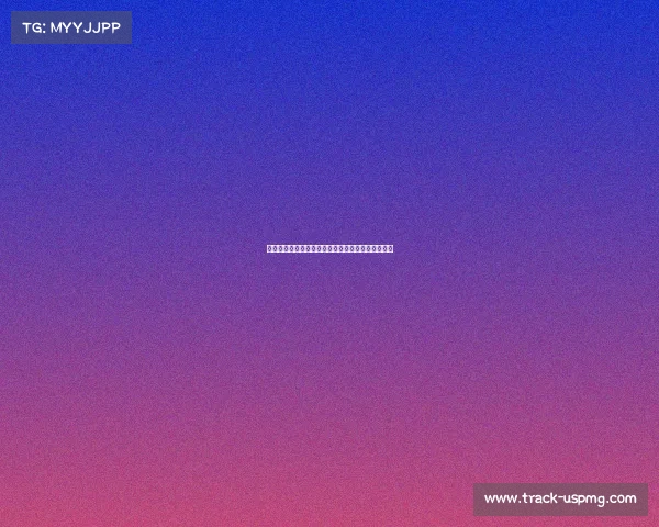 江苏女排全运征程奋勇拼搏展巾帼风采争创辉煌战绩